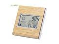 Weather station bamboo