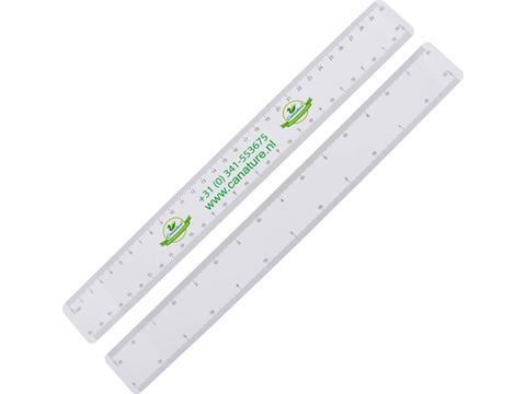 Mailing ruler 4 scales, 300 mm.