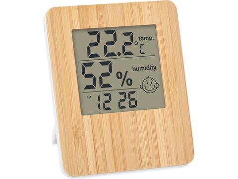 Bamboo weather station