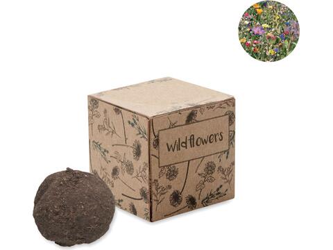 Seed bomb growing kit