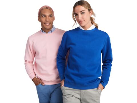 Batian unisex crewneck sweater