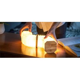 Gingko Smart Accordeon Lamp 3