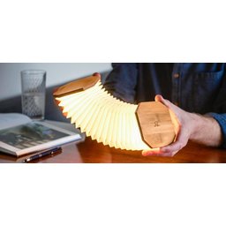 Gingko Smart Accordeon Lamp 6