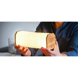 Gingko Smart Accordeon Lamp 9