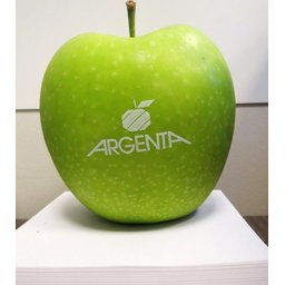 Logo appelen Argenta