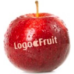 Logo appelen bedrukken logo fruit