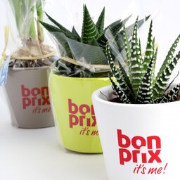 Mini plant in een keramische pot bedrukken