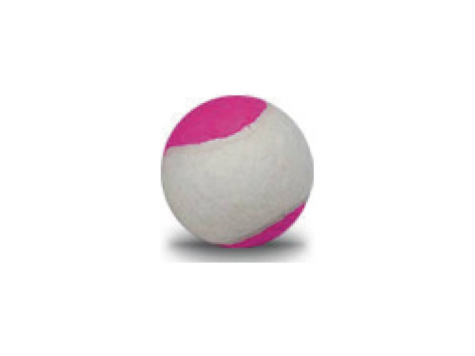 Tennis ballen Game Play 2 Tone wit