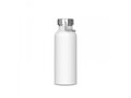 Bouteille isotherme Skyler 500ml