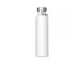 Bouteille Skyler 650ml 1