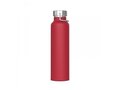 Bouteille Skyler 650ml 6