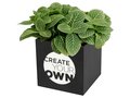 Pot en aluminium avec plante grasse Hey Pots 9