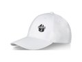 Casquette Davis 6 panneaux