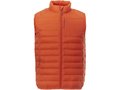 Bodywarmer pour hommes Pallas 3