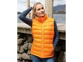 Ice Bird Padded Gilet 7