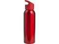 Gourde en aluminium - 650 ml