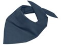 Foulard triangle 27