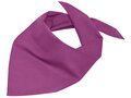 Foulard triangle 25