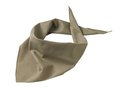 Foulard triangle 15