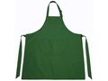 Apron 13 colours 2