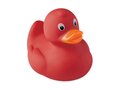 Canard en PVC. 6