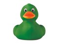 Canard en PVC. 12