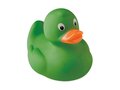 Canard en PVC. 11