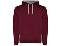 Sweat à capuche Urban pour homme 8