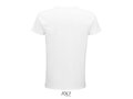 Pioneer men T-shirt 403