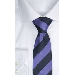 2910200_608_TIE_REGIMENTAL_STRIPE_608_NAVY_PURPLE