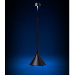 Steli black blue light