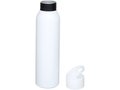 Sky drinkfles metal - 650 ml 4