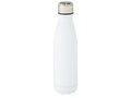 Cove vacuüm geïsoleerde roestvrijstalen fles - 500 ml