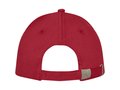 Doyle 5 panel cap 14