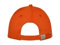 Doyle 5 panel cap 17