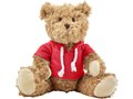 Knuffelbeer met hoodie 4