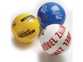 Plastic ballen - 22 cm 2