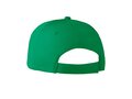 Katoenen baseball cap 37