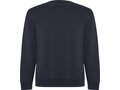 Roly Batian unisex sweater met ronde hals 24