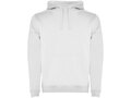 Roly Urban hoodie voor heren 1