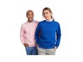 Roly Batian unisex sweater met ronde hals