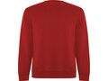 Roly Batian unisex sweater met ronde hals 22