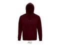 Unisex hooded sweater Bio 175