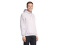 Unisex hooded sweater Bio 102