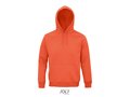 Unisex hooded sweater Bio 200