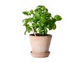 Sproutworld Potlood – Laat je ideeën uitgroeien tot iets moois 2