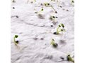 Custom-Made A5 plantbaar zaadpapier – volledig eigen design 5