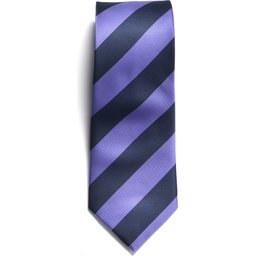 2910200_608_TIE_navy_purple