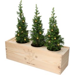 Bloomsbox met kerstboompjes