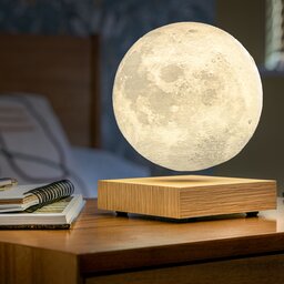 G019AH Gingko Smart Moon Lamp04